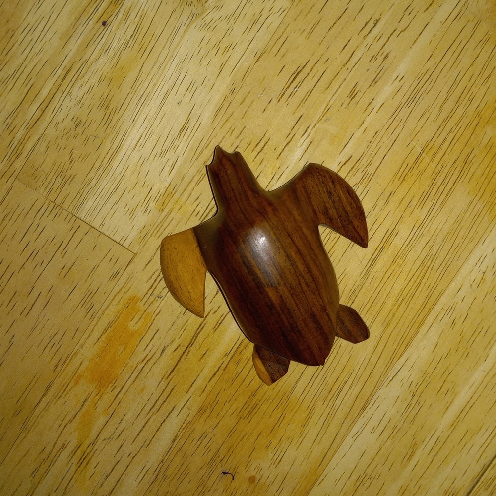 Turtle - Picture 1 of 3